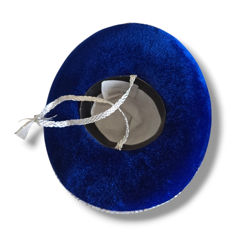 π Host Pick π Mexican Blue and Silver Small Dog Mini Sombrero - Picture 13 of 16